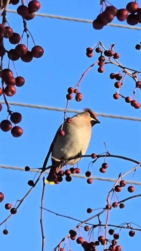 ������ ����!� ������� ������ �� 5 �����