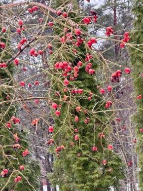 ������ ����!� ������� ������ �� 6 �����