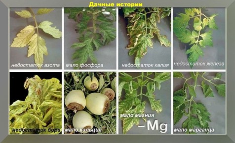 ������ � ����������� �������: ��� �������� �������� �������