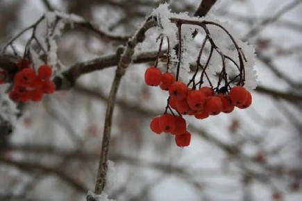 ������ ��������� ����!� ������� ������ �� 7 �����