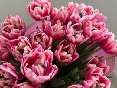 ������� �������: ������� �������! �� ���� ���� ���������� ��� � ������������� ������� ����!