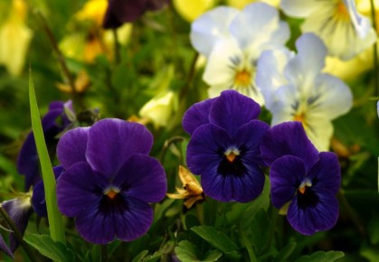 ��� ��������� ����� �� �����: ��� �������, �� ������ ������ ����