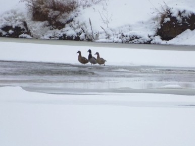 ������ ����!� ������� ������ �� 9 �����