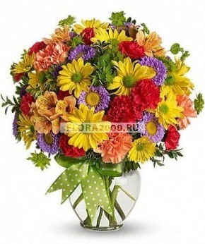 ��� ����� ����� �������� ���� ���������� � ��������