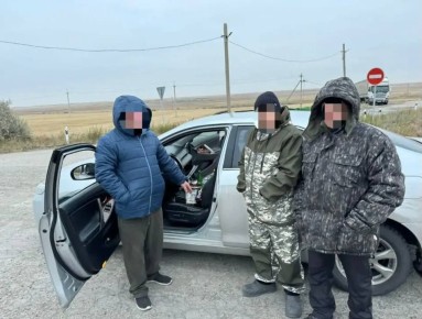 ������ ���������� ����� ������ �� 4 ��� � ���������� � ������