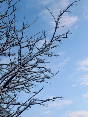 �������� ����������� �������� ������: ������� ������ � ���������� �� ������