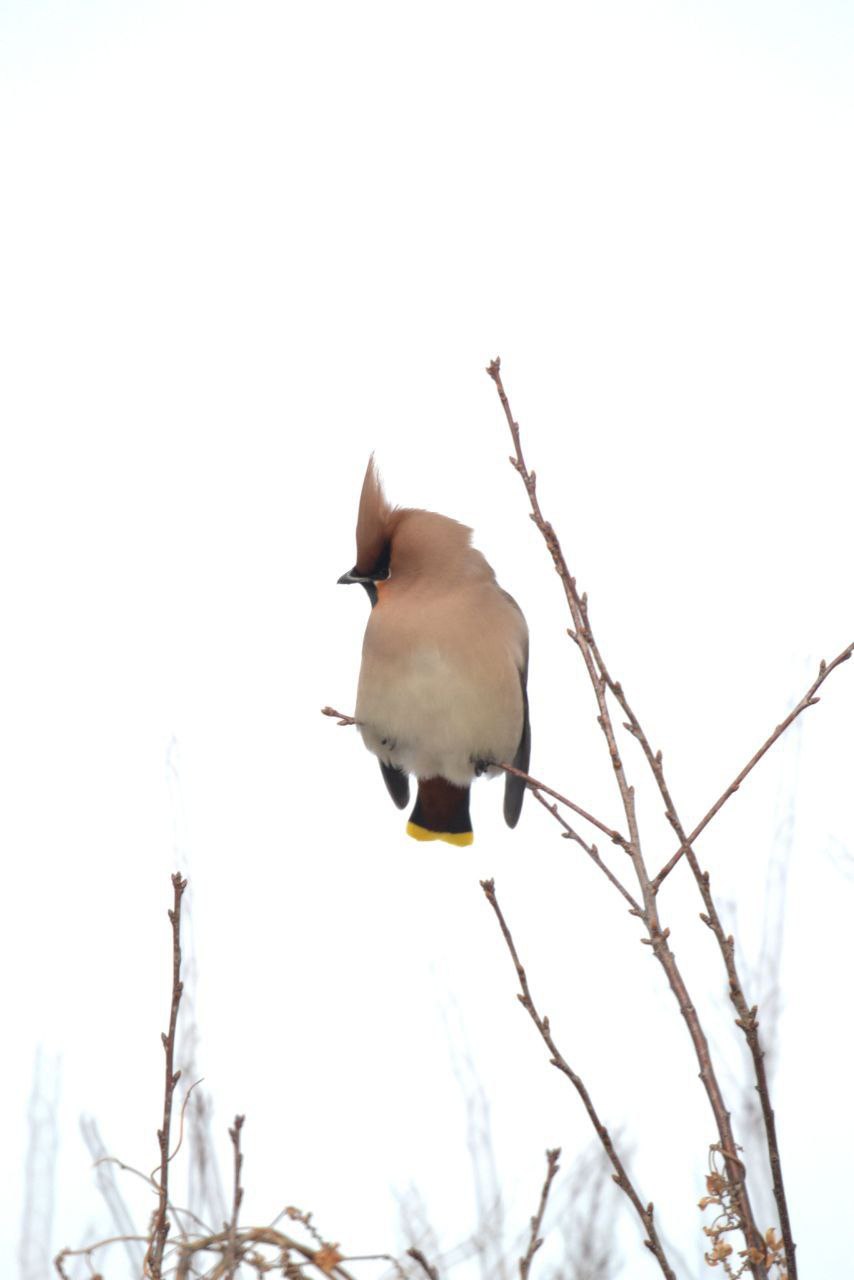 Доброе утро! Прогноз погоды на 10 марта