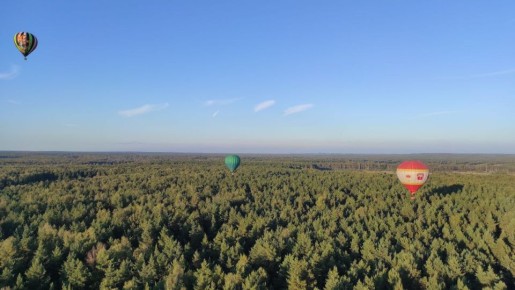 ��� �������� ������ �� ������ �� ������� � 2026 ����: ���, ��� ����� �����