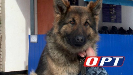 � ��������� ����� ��������� ����� �� ������� � ������ ��������� ��������� ����