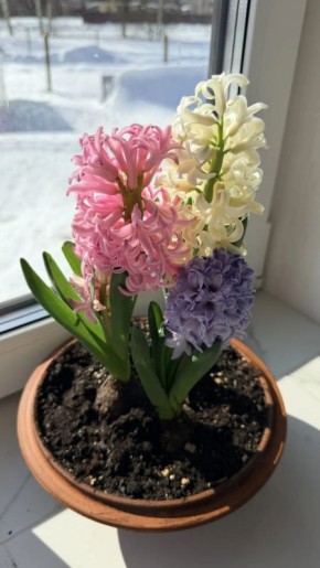 ������ ����!� ������� ������ �� 12 �����