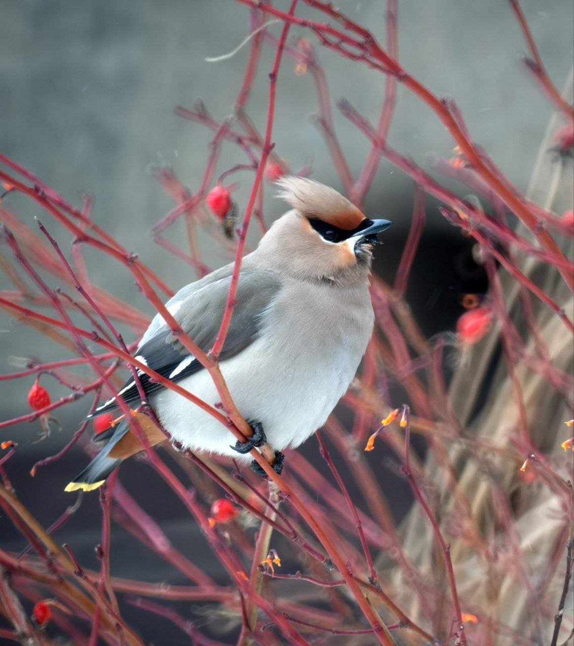 Доброе утро! Прогноз погоды на 13 марта