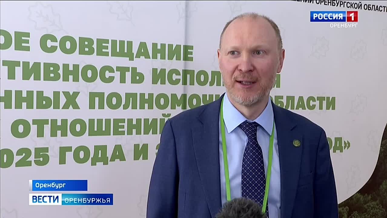 Оренбуржье оказалось в лидерах ПФО по восстановлению лесов и тушению пожаров