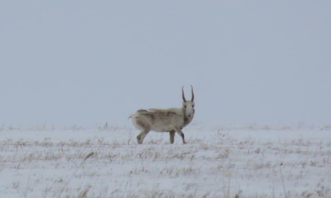 � ������������ ��������� ������ ������������ ������� ������� ��� ��� �������