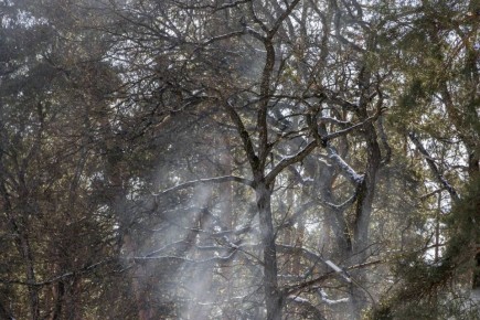 � ���������� ������� 60 ��������� � ����� ������ ����� �� �������