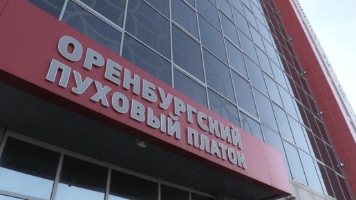 В Оренбурге отпустили на свободу пухового короля – так здесь называют бывшего владельца фабрики пуховых платков – Олега Гремпеля