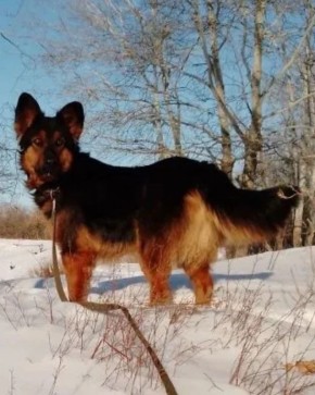 ������, ������� ����� ������������� �����