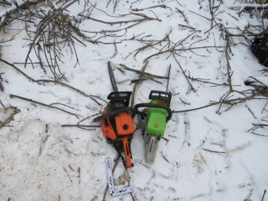 Житель Оренбургского района заплатит 166 тысяч за 4 срубленных ясеня