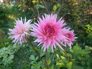 ��� ��������� �������� �� �����: ������� ��������� ������������