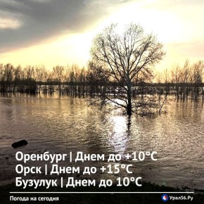 Доброе утро