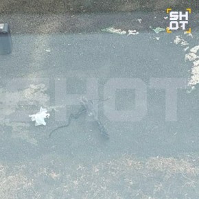 Школьник выстрелил из арбалета в одноклассницу в Челябинске