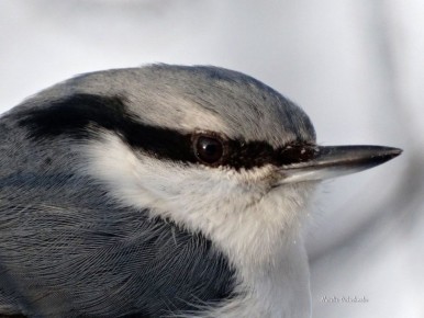 Доброе утро! Прогноз погоды на 26 марта