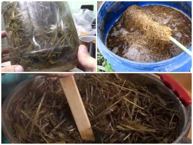 ��� ��������� ����������: ����������� ������ ��� ������ ����