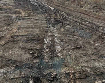 �� ������, �� ��������: � ����� ��������� �������� �������� � ���� �����