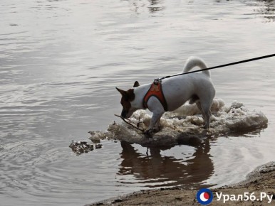 Красивый Урал в Оренбурге сегодня