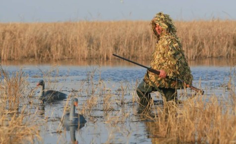 � ���������� ����� �������� ����� �������� � ������