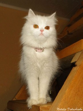 Доброе утро! Прогноз погоды на 29 марта