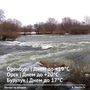 Доброе утро