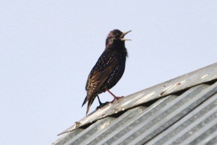 Весна в Оренбуржье глазами наших подписчиков