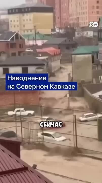 ����� �����: ���� ������� �������� � �������� ������������ � ���������� ������������ �� ���������� � ��������� � � ��� ��� ������� ��������� � ������