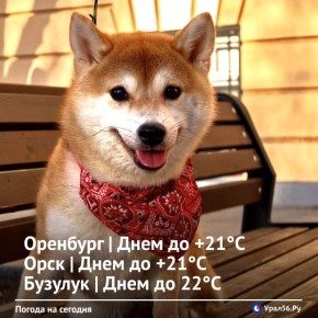 Доброе утро