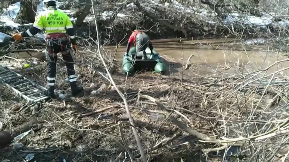 � ������������ ������� ����� ���� ���� ���������� � ����� �������