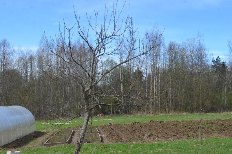 ��� ��������� �����: ��� ������ ������� �������� �����