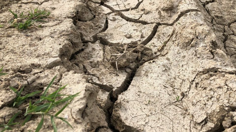 ��� ���������� ��������� ����� � ������ ����� �� ���� ����