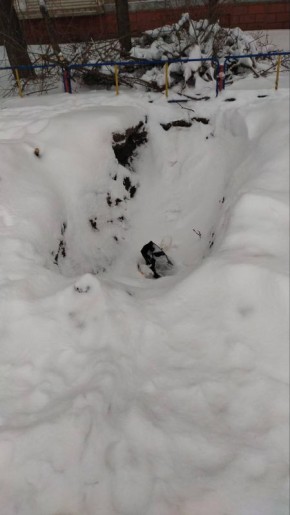 ������ �� ����� ����������� ���� � ��������� ����� ��� ���� ������� ������������� ��������