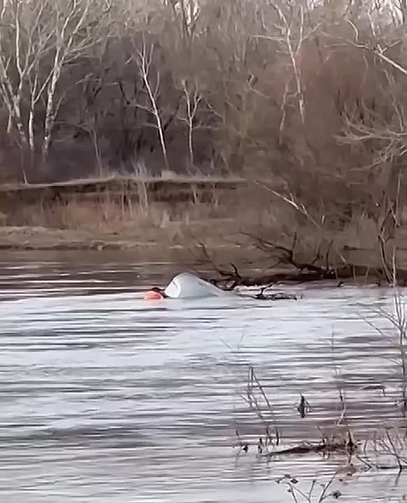 ������� ���� � ���� ������ ��� ��������� � ������� ������� �����������