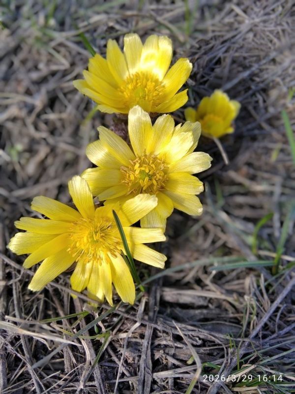 ������ ����! ��� ����? � � ����!�