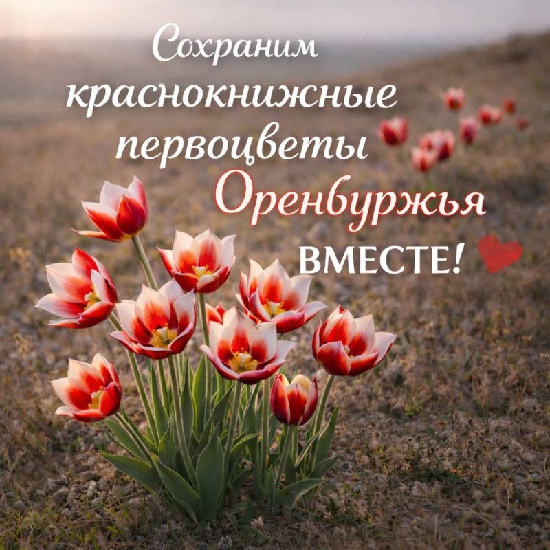 ����� � �����, ����� ����� ���������� � �������� ����� ��������! �� ������ ���������� ��������� ��� ������� ������������ � �������� � ������� �����