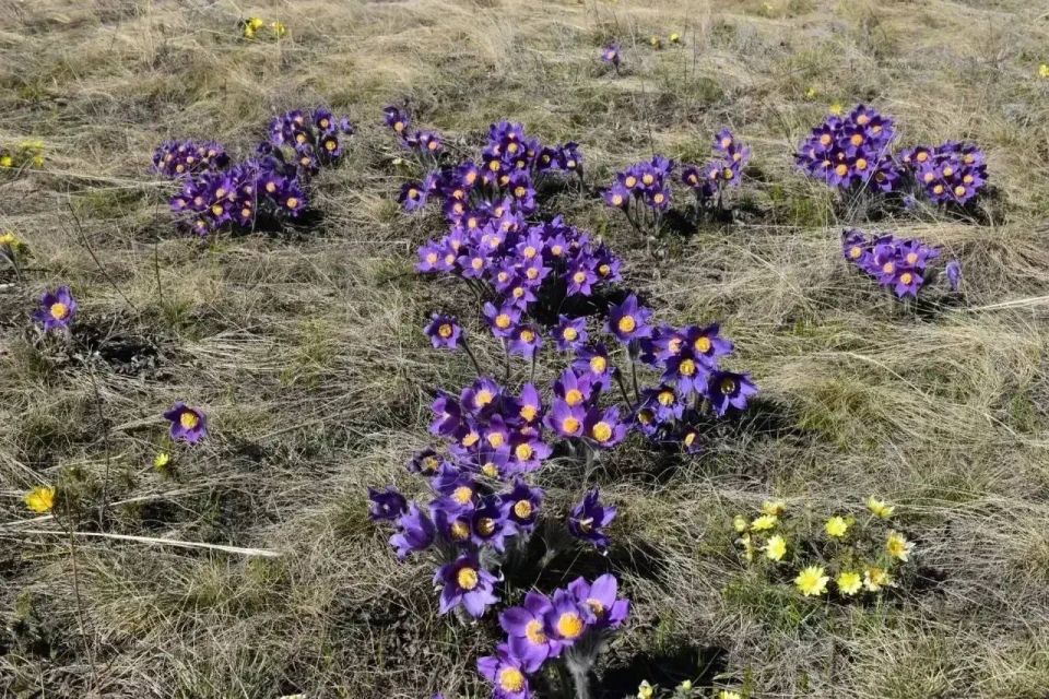 ���������� ���������� ��������� � ������� �� ����������� ������ ��������