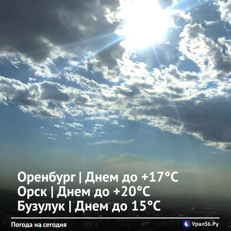 ������ ����