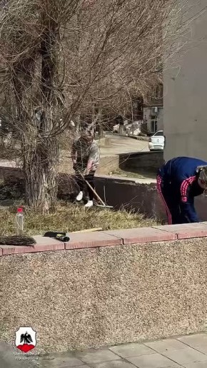 ����� � ����� �����, ������ � �����������