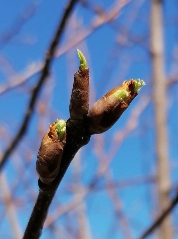 ������ ����, ������! �� ����� � ����!