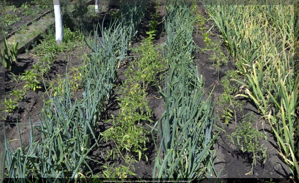 ��� �������� ��� � ������ �� ���������� � ���������� � ���