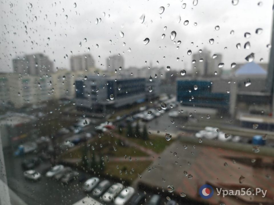 � ��������� ����� � �������� �����, ����� +8 ��������