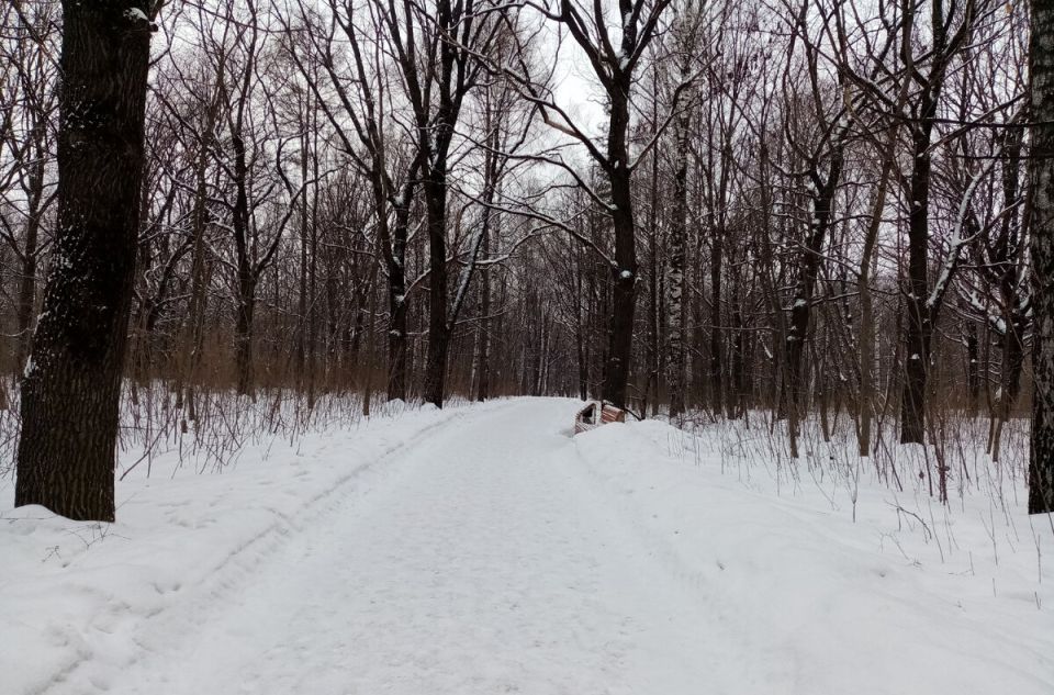 ��� ����������� ����: �������� ������� � ������������� �������� 2025 ����