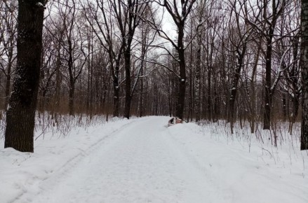 ��� ����������� ����: �������� ������� � ������������� �������� 2025 ����