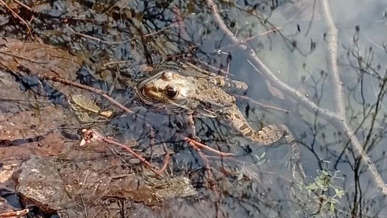 ������� �������-���������� ���������� � ����������� ����